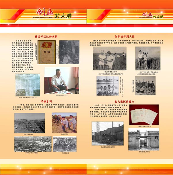 大港历史回顾展（图4）
