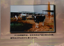 2008天津 汉沽