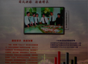 2008天津 汉沽